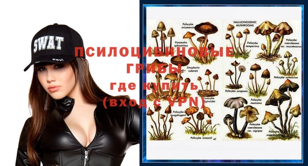 гашиш Абаза